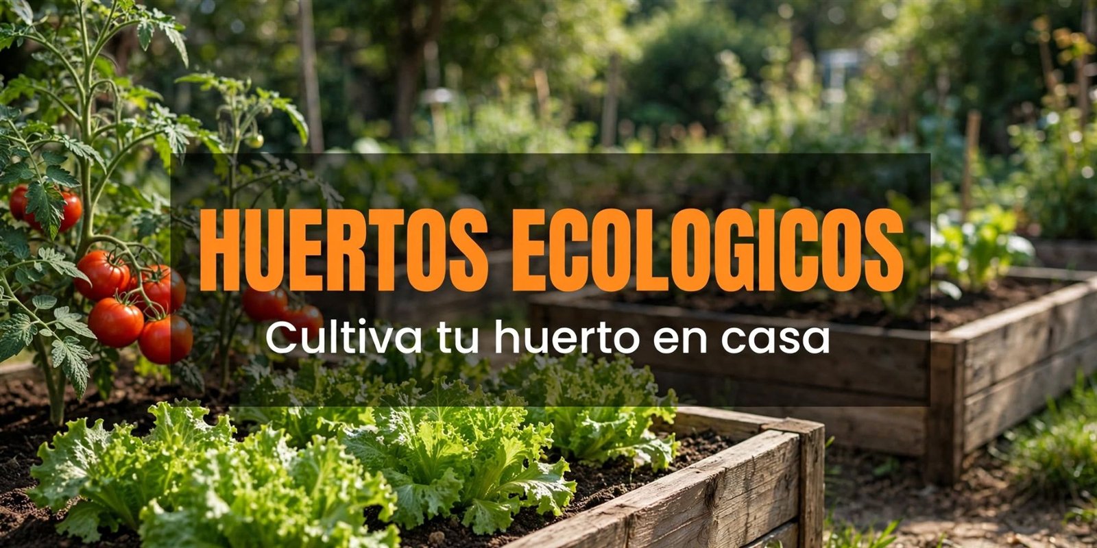 Huertos ecológicos: cultiva tu huerto en casa