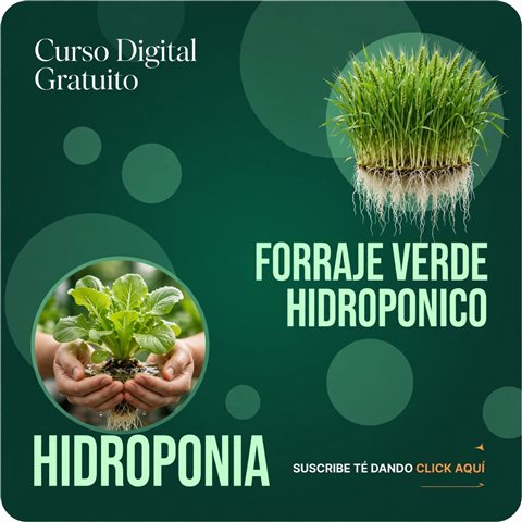 Curso digital gratuito de hidroponia y forraje verde hidropónico
