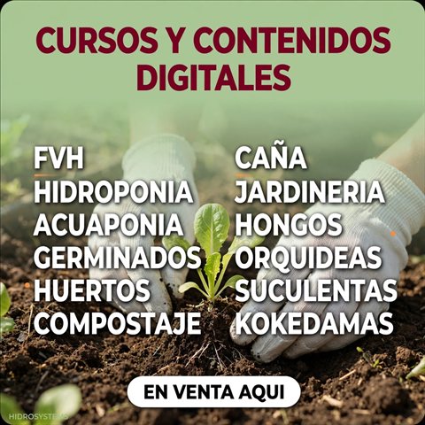 Cursos y contenidos digitales en venta
