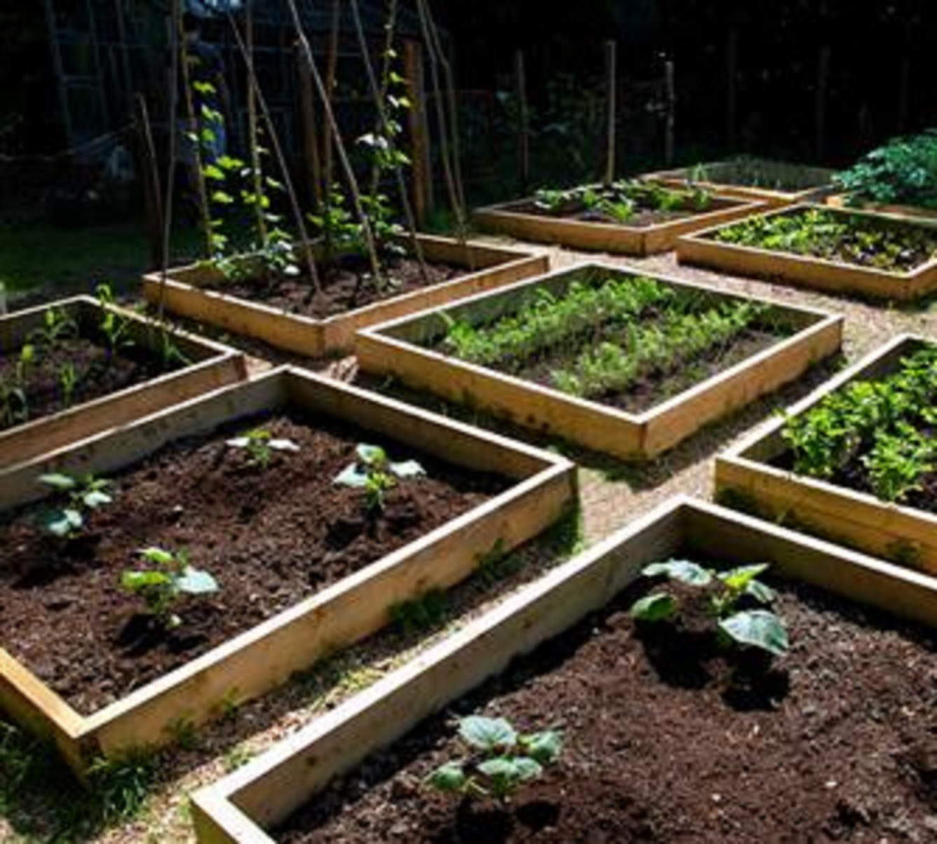 Cama De Cultivo Kit Completo Para Huerto De 60x120x20 Cms