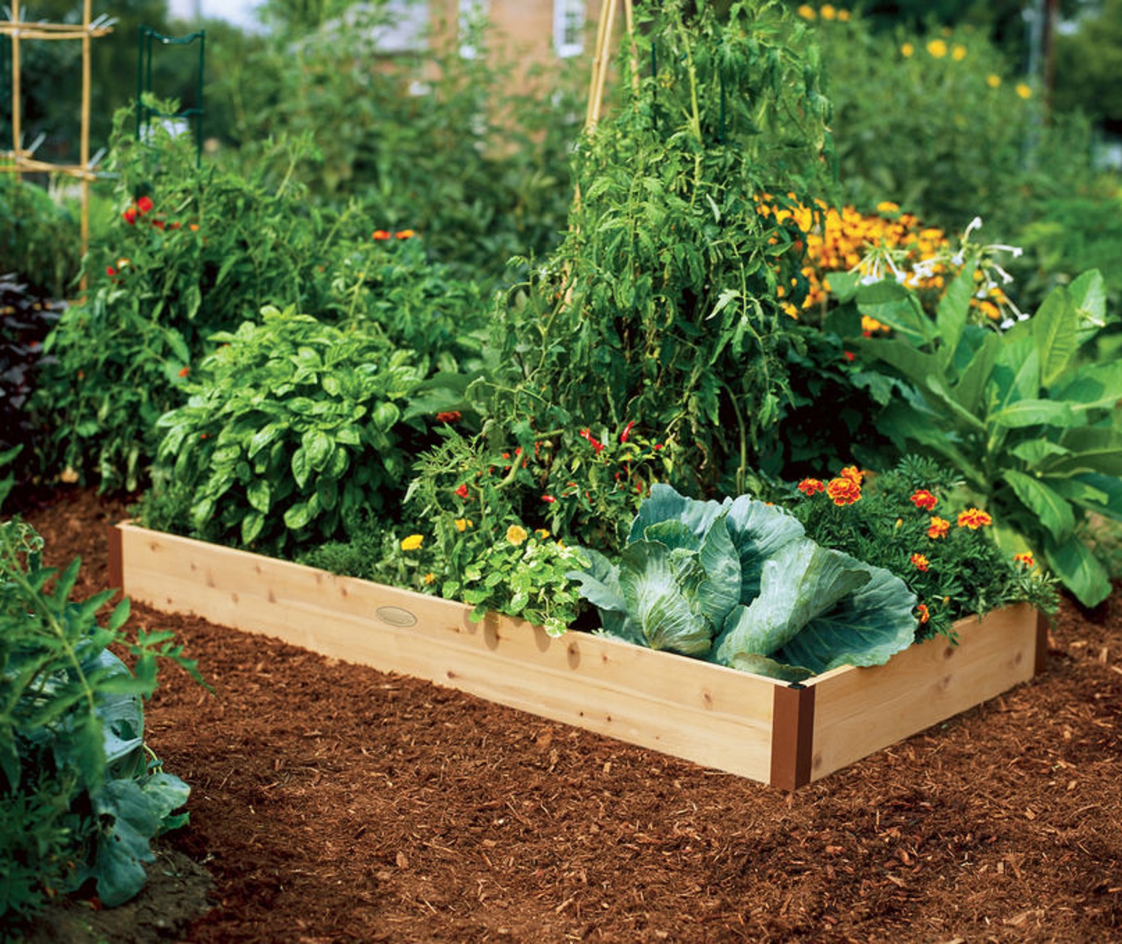 Cama De Cultivo Kit Completo Para Huerto De 60x120x20 Cms
