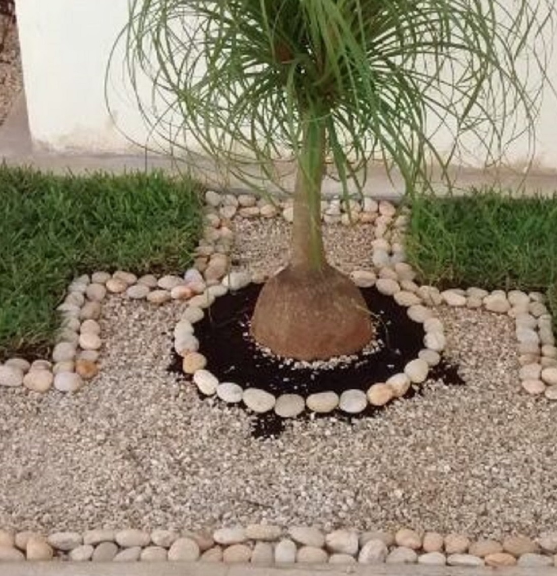 Piedras decorativas para el jardín